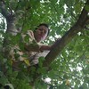 Homo thespian, luit tree